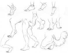 furry leg tutorial furry drawing manga drawing anthro furry character design animation