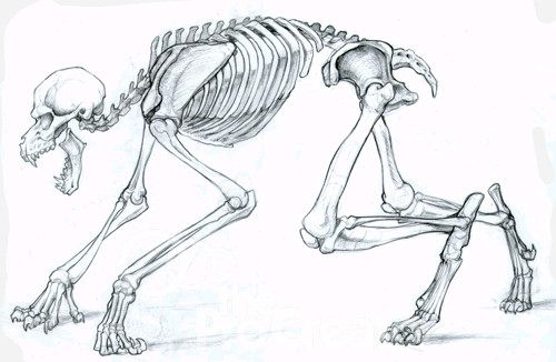 anatomy of a werewolf google search