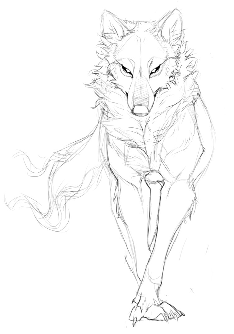 Drawing Wolf Legs Pin by Kristen Fletcher On Drawing References Lobo Dibujo Arte