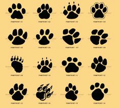 paws