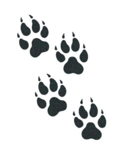 tribal wolf paw google search wolf print tattoo wolf paw tattoos wolf