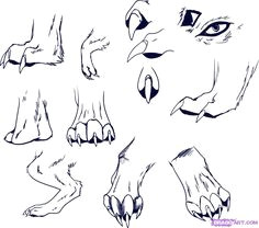 wolf drawings step by step how to draw wolf paws step 5 anime wolf drawing