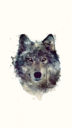 wolf artwork illustration iphone5 wallpaper i wonder if mums watercolour painting is goo enough