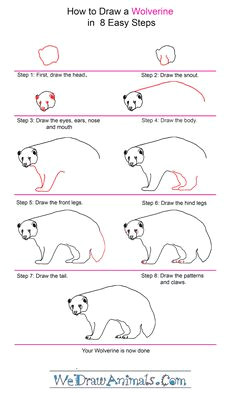 how to draw a wolverine step by step tutorial
