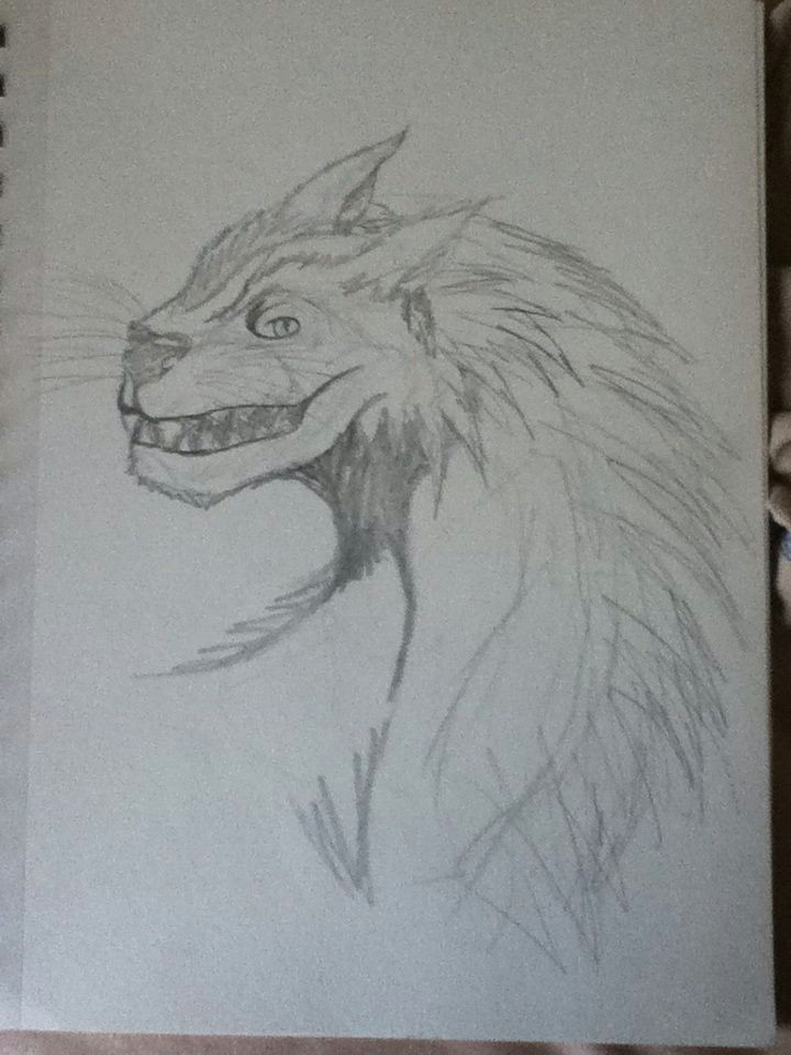 a drawing of a wolf dragon i did
