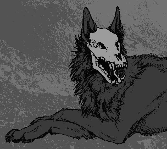 wolf skeleton wolf skull fantasy wolf anime wolf skeleton drawings art drawings