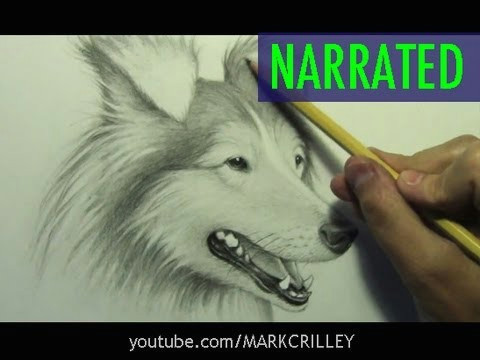 how to draw a dog narrated step by step