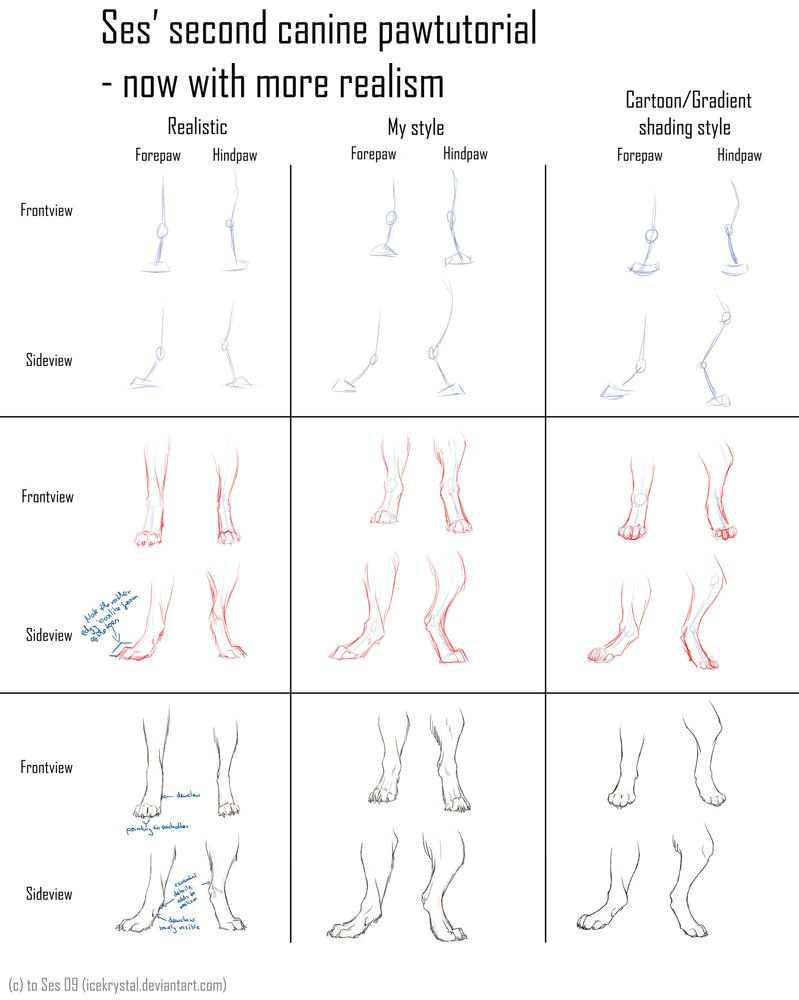 wolf paw positions by deadsoulwolf