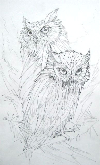 a drawling of two owls