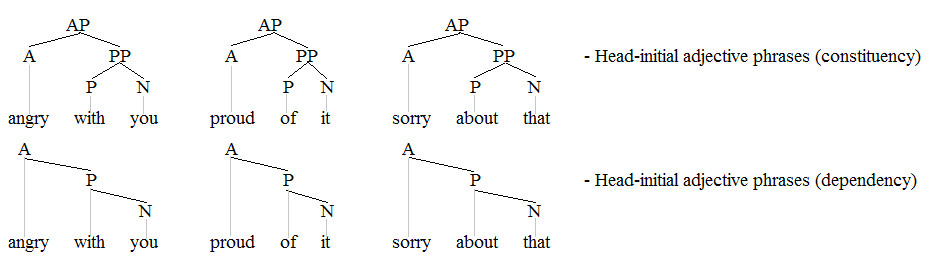 head initial adjective phrases