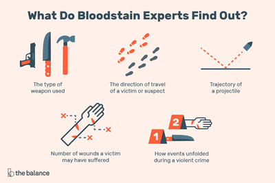 bloodstain pattern analyst job information 974465 final 5bf4617a46e0fb002671d958 png