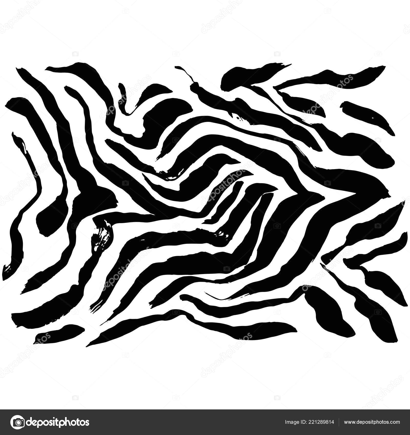 brush painted zebra pattern black and white stripes grunge background vector by rtyt01 mail ru