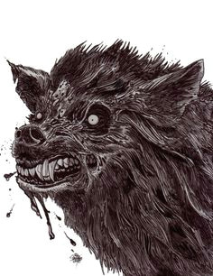 image result for zombie wolf