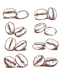 80 off sale coffee bean hand drawn vector sketch of coffee beans hand drawn coffee vector clipart