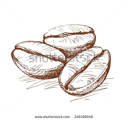 Drawings Easy Coffee Painted Coffee Beans Coffee Beans Coffee Sketch Of Coffee Beans