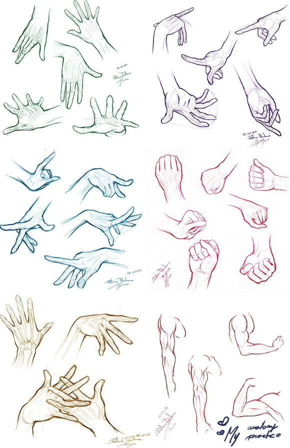 my anatomy practice by roxaralu on deviantart drawing poses drawing tips drawing hands