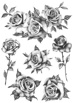 roses flower set set of 6 temporary tattoo realistic roses tattoo roses tattoo flowers tattoo black roses temporary tattoo floral
