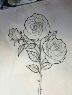 Drawings Of 3 Roses 29 Best Rose Drawings Images 3 Roses Tattoo Rose Drawings Tattoo