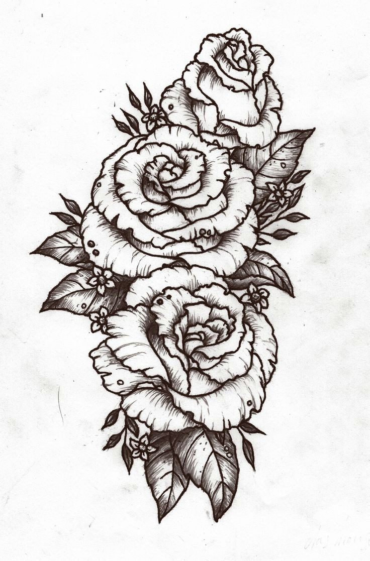 3 roses tattoo mannheim tattoo bird rosenranke tattoo tattoo 2017 tattoo drawings