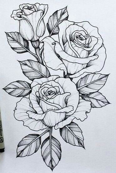 5b712e8788ec647f851121b6199c42ea jpg 370a 550 flowers drawn rose flowers rose sketch