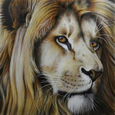 lion by jurek zamoyski