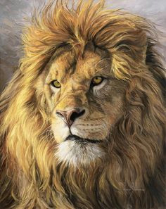 portrait of a lion 14 x 14 throw pillow by lucie bilodeau description