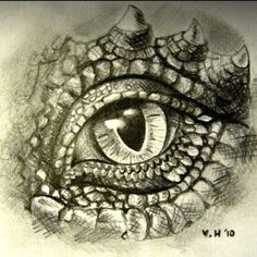 graphite pencil drawing dragon s eye artist victoria highet dragon eye drawing