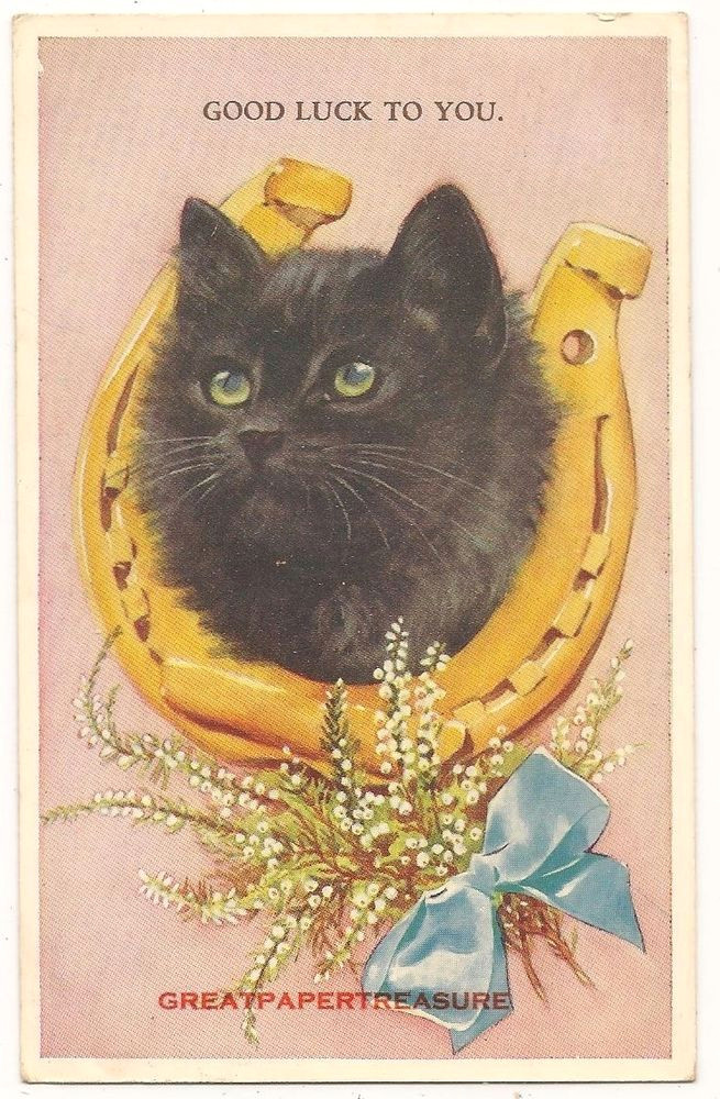 lucky black cat postcard no 5249 by valentine horseshoe white heather