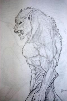 my werewolf drawing