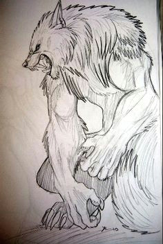 sweet werewolf drawing werewolf tattoo werewolf art werewolf drawings vampires and werewolves
