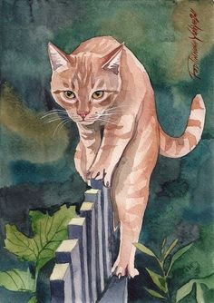 print of watercolor painting red ginger cat kitty kitten cute red and white cat
