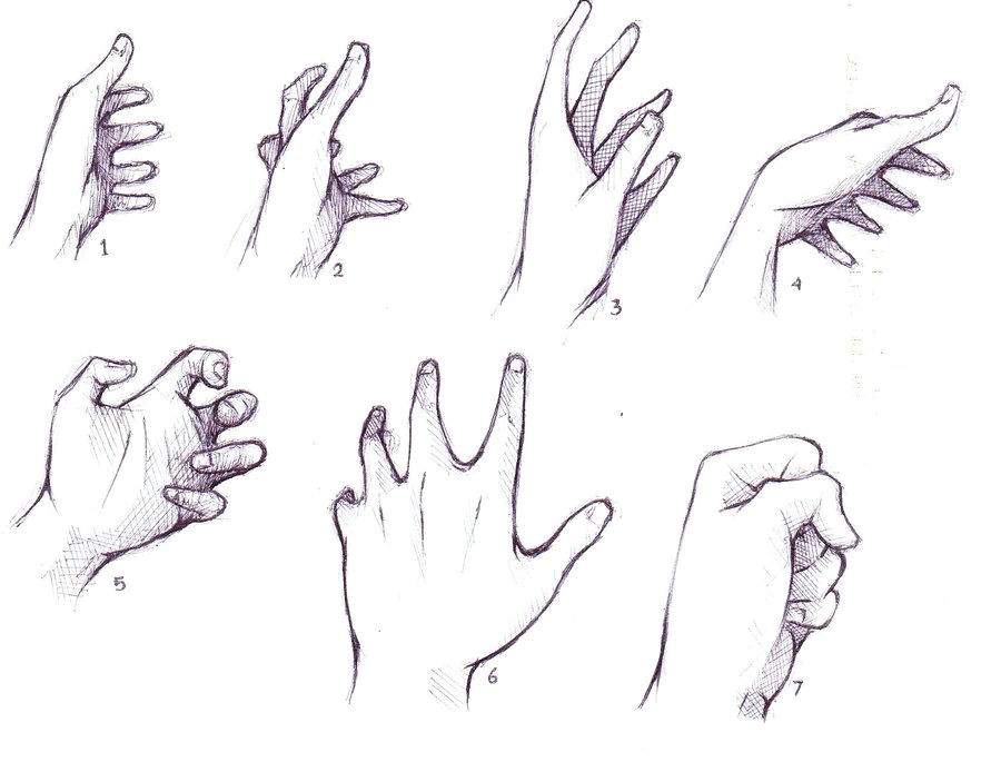 hand drawing reference anime hand drawing reference hand reference by alsei