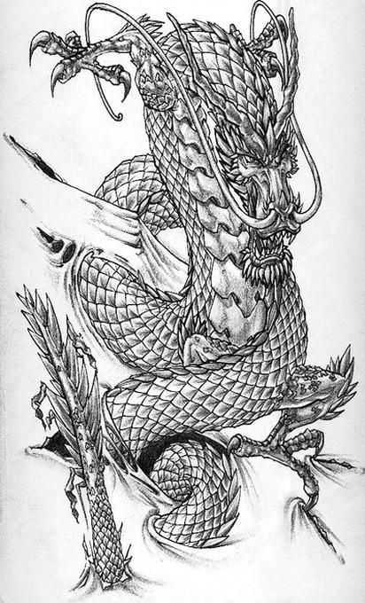 dragon tattoos designs dragon tattoo art chinese dragon tattoos dragon tattoo designs pin