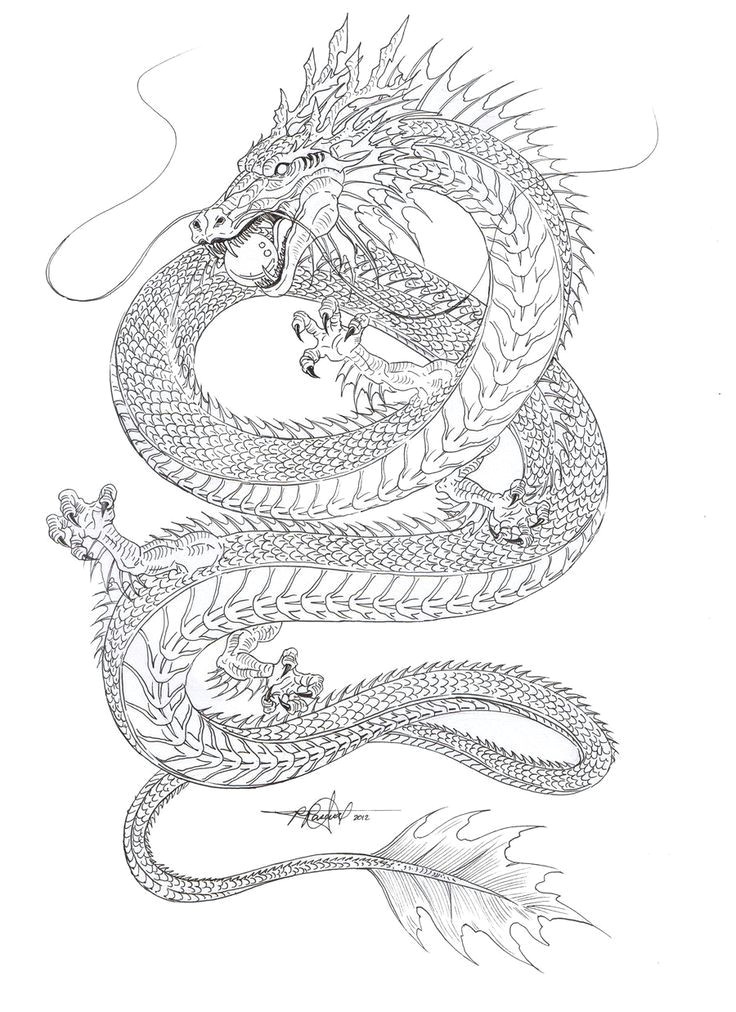 dragon tattoos on pinterest chinese dragon asian dragon tattoo and dragon tattoo