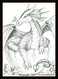 hatching dragon by norma burnell coloring book pages coloring pages for kids coloring sheets
