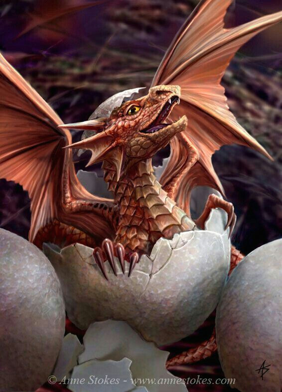 baby dragon hatching