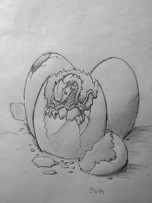 hatching baby dragon by falzelo