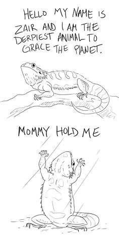 bearded dragon drawing cute google search cute dragon drawing dragon drawings cute bearded