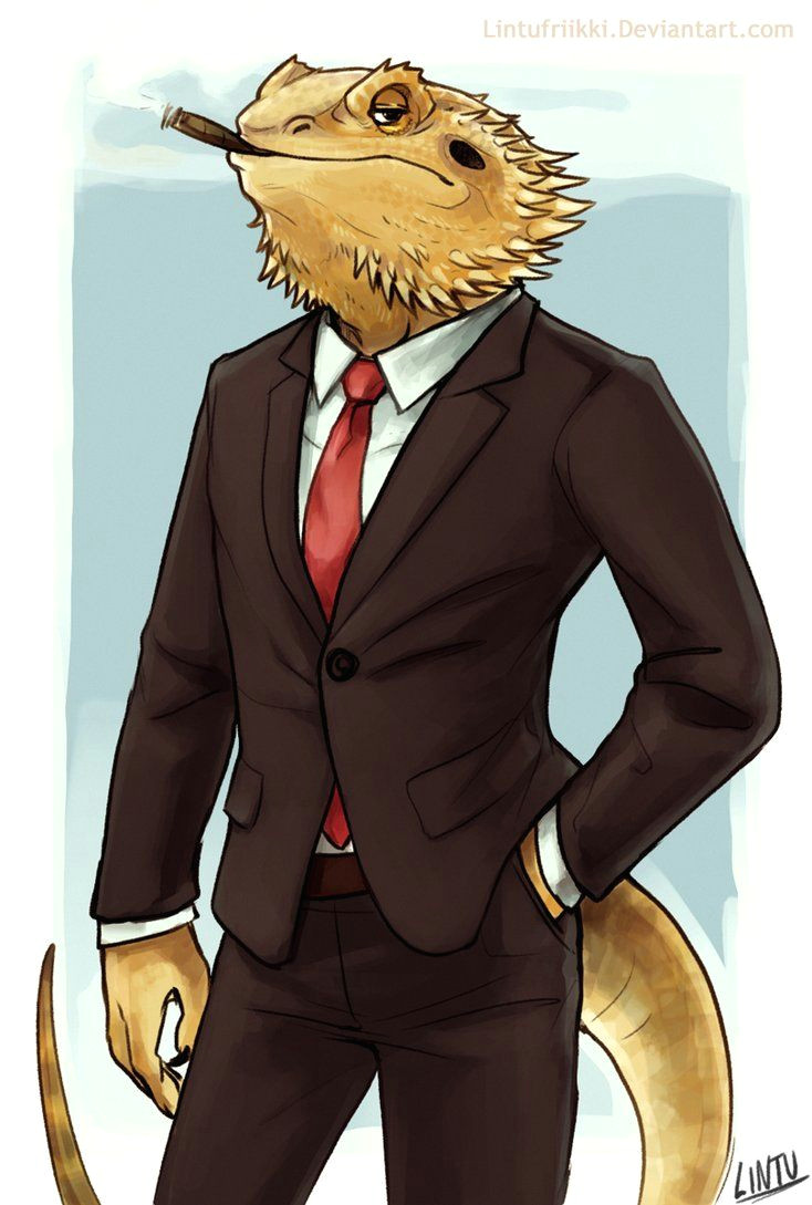 bearded dragon by lintufriikki deviantart com on deviantart