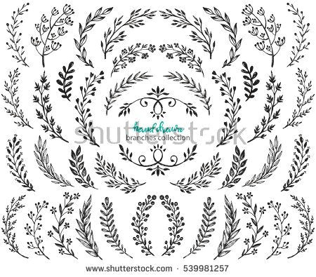 big set of hand drawn vector flowers and branches with leaves flowers berries floral sketch collection decorative elements for design