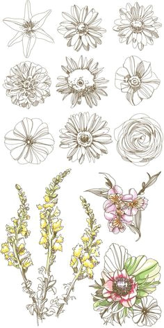d d n n d simple flower drawing daisy flower drawing flower design drawing delicate flower tattoo