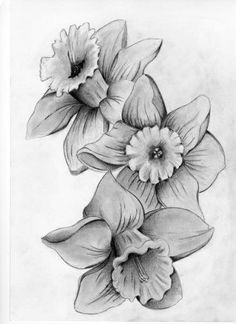 Drawings Of Birth Flowers 7 Best March Birth Flowers Images Awesome Tattoos Coolest Tattoo