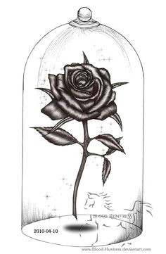 rose drawings rose pen drawing with glass by blood huntress on deviantart ideen