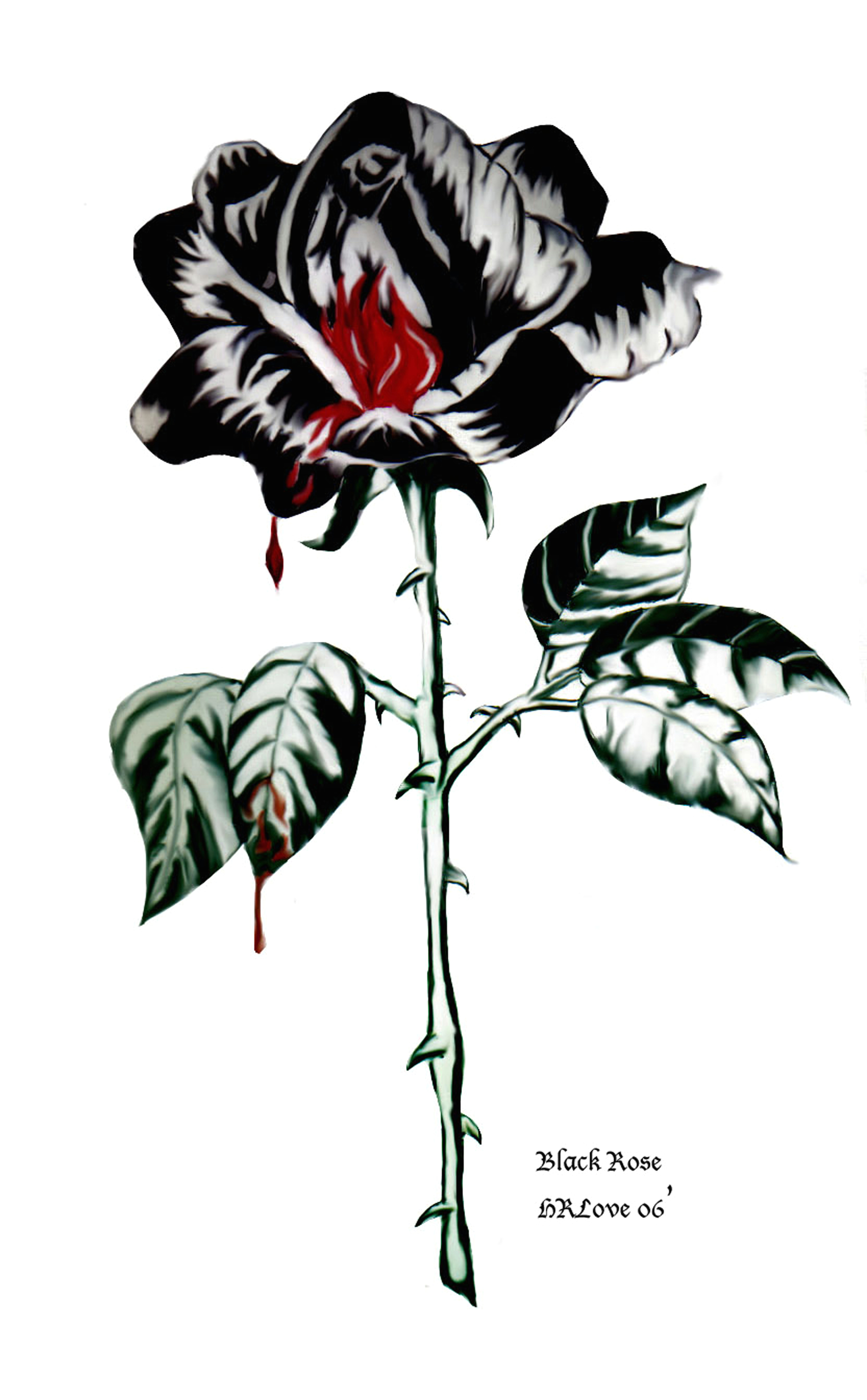 black rose drawing bleeding