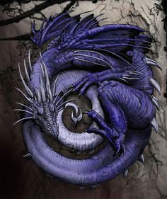 coiled blue dragon illustration fantasy illustration dragon pictures blue dragon dragon 2