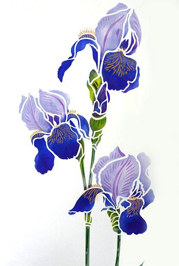 iris stencils 1 and 2 iris drawing iris flowers bird stencil flower stencils