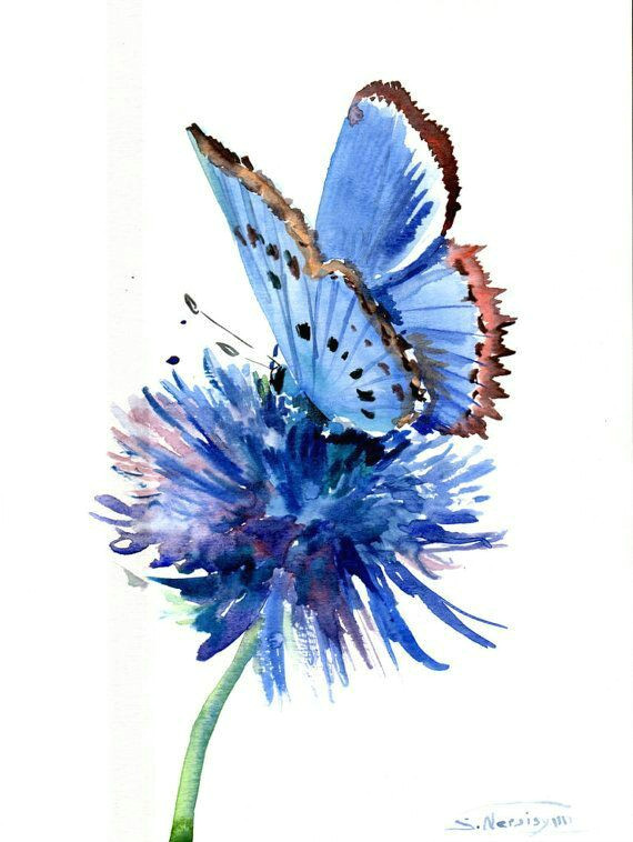 stunning watercolor flower and butterfly