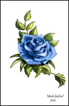 blue rose tattoo design