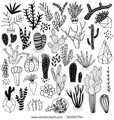 black and white hand drawn cactus and succulents vector set with succulents flowers concrete pots and glass terrariums vector illustration