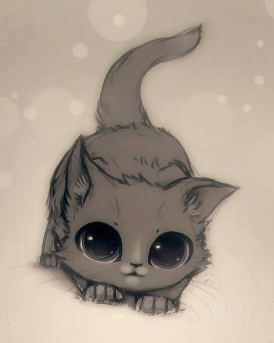 illustrated kitten with huge eyes